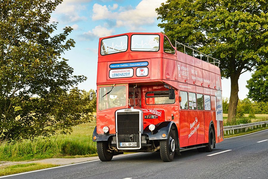 Roter historischer Doppeldeckerbus fährt auf Landstraße mit Bäumen und Wiese im Hintergrund
